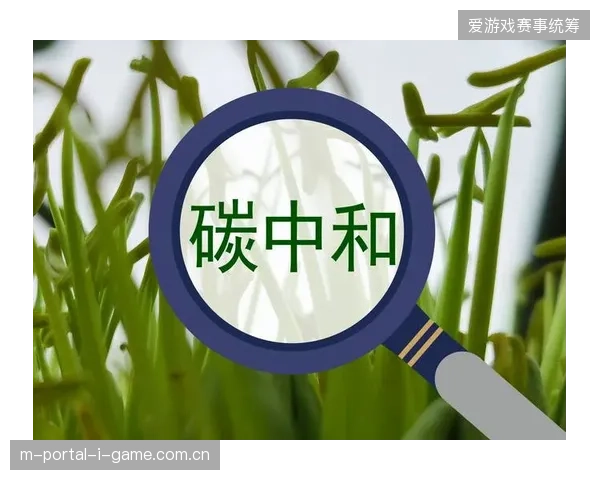 赛事规模的空前扩大引发了对碳足迹的担忧，跨国长途旅行成为本届世界杯面临的环保挑战